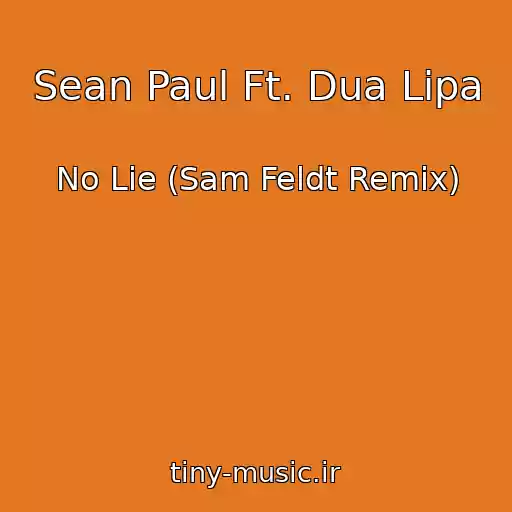 کاور آهنگ Sean Paul Ft. Dua Lipa از No Lie (Sam Feldt Remix)