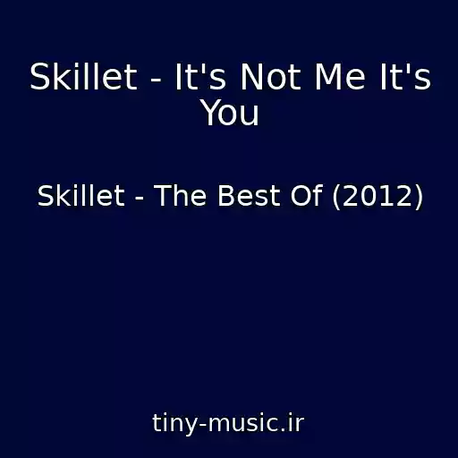 کاور آهنگ Skillet - It's Not Me It's You از Skillet - The Best Of (2012)