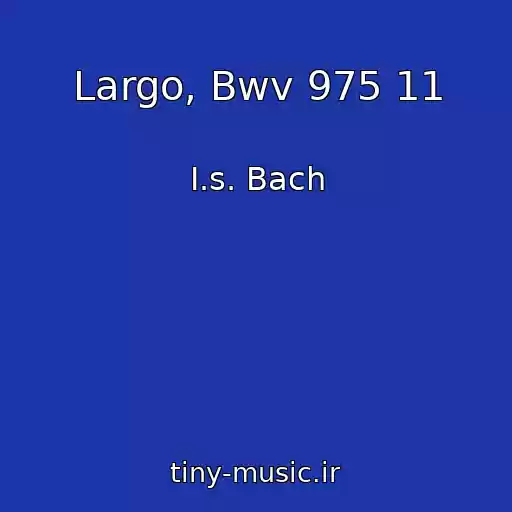 کاور آهنگ Largo, Bwv 975 11 از I.s. Bach
