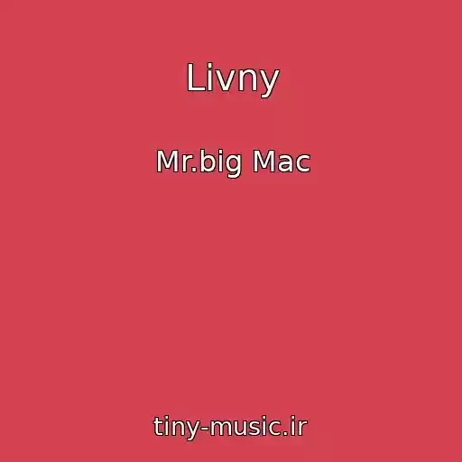 کاور آهنگ Livny از Mr.big Mac