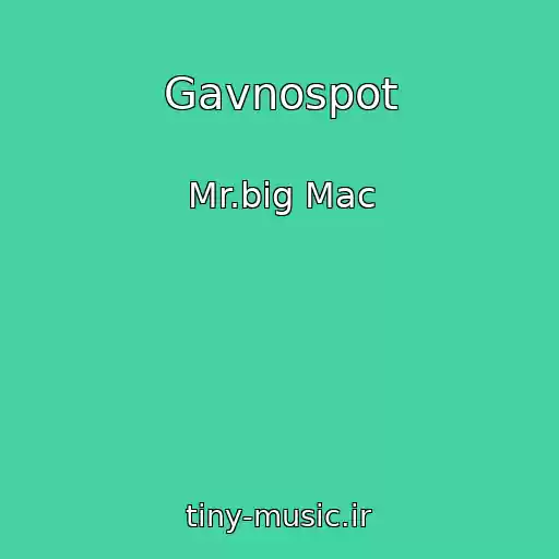 کاور آهنگ Gavnospot از Mr.big Mac