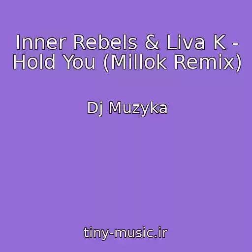کاور آهنگ Inner Rebels & Liva K - Hold You (Millok Remix) از Dj Muzyka