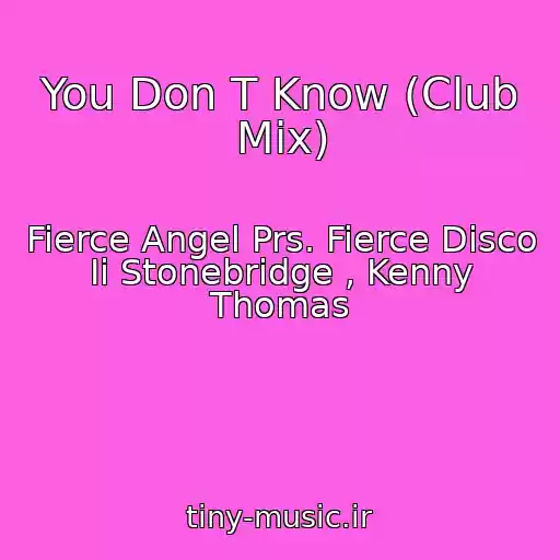 کاور آهنگ You Don T Know (Club Mix) از Fierce Angel Prs. Fierce Disco Ii Stonebridge , Kenny Thomas