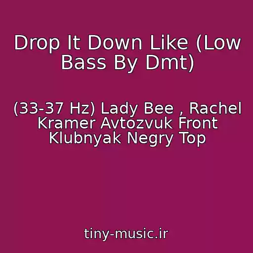 کاور آهنگ Drop It Down Like (Low Bass By Dmt) از (33-37 Hz) Lady Bee , Rachel Kramer Avtozvuk Front Klubnyak Negry Top