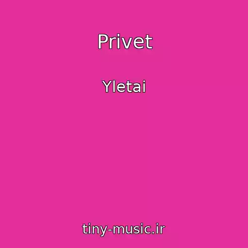 کاور آهنگ Privet از Yletai