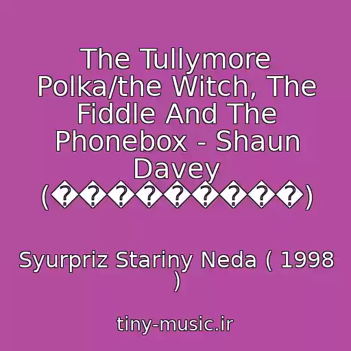 کاور آهنگ The Tullymore Polka/the Witch, The Fiddle And The Phonebox - Shaun Davey (���������) از Syurpriz Stariny Neda ( 1998 )