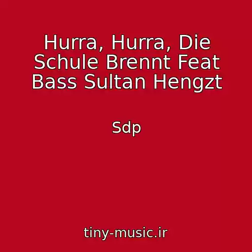 کاور آهنگ Hurra, Hurra, Die Schule Brennt Feat Bass Sultan Hengzt از Sdp