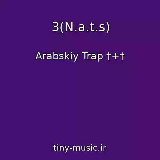 کاور آهنگ 3(N.a.t.s) از Arabskiy Trap †+†