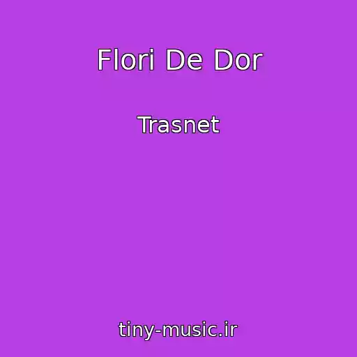 کاور آهنگ Flori De Dor از Trasnet