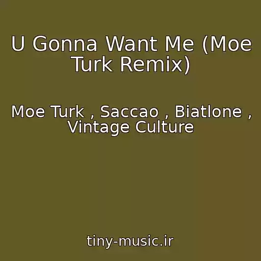 کاور آهنگ U Gonna Want Me (Moe Turk Remix) از Moe Turk , Saccao , Biatlone , Vintage Culture