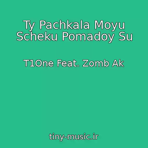 کاور آهنگ Ty Pachkala Moyu Scheku Pomadoy Su از T1One Feat. Zomb Ak