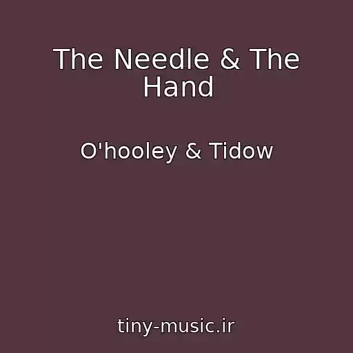 کاور آهنگ The Needle & The Hand از O'hooley & Tidow