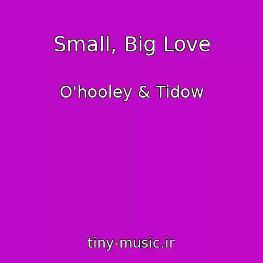 کاور آهنگ Small, Big Love از O'hooley & Tidow