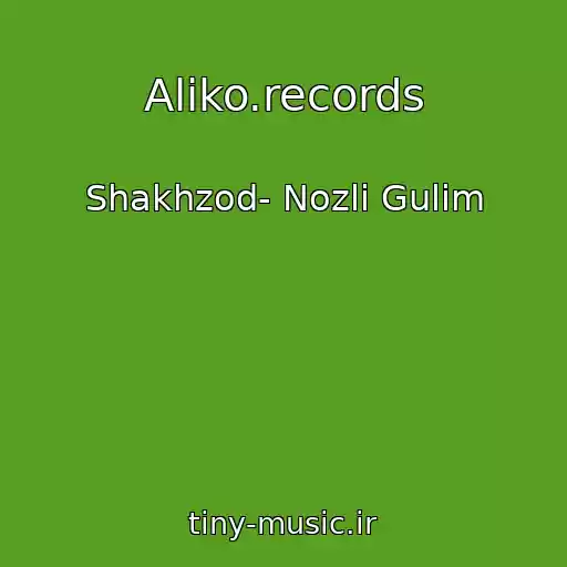 کاور آهنگ Aliko.records از Shakhzod- Nozli Gulim
