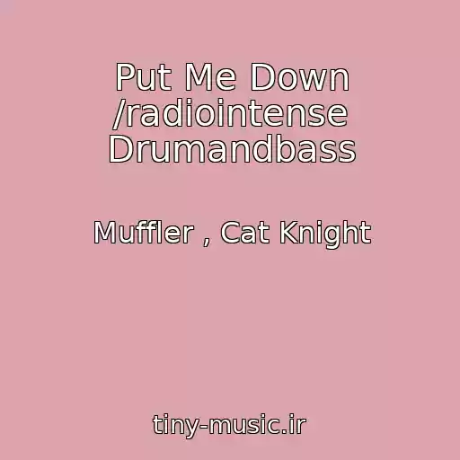 کاور آهنگ Put Me Down /radiointense Drumandbass از Muffler , Cat Knight
