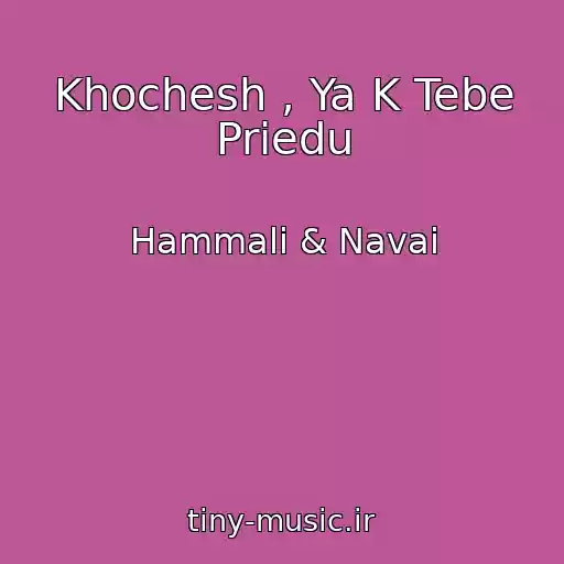کاور آهنگ Khochesh , Ya K Tebe Priedu از Hammali & Navai