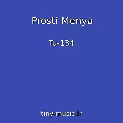 کاور آهنگ Prosti Menya از Tu-134