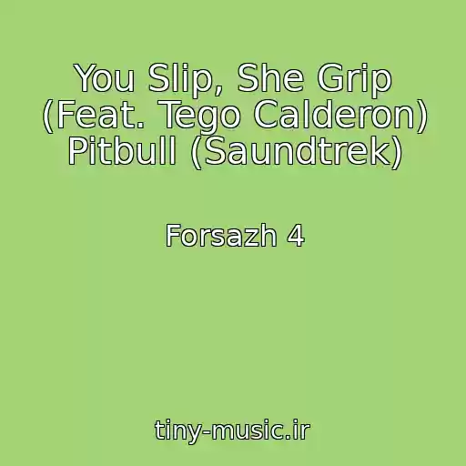 کاور آهنگ You Slip, She Grip (Feat. Tego Calderon) Pitbull (Saundtrek) از Forsazh 4