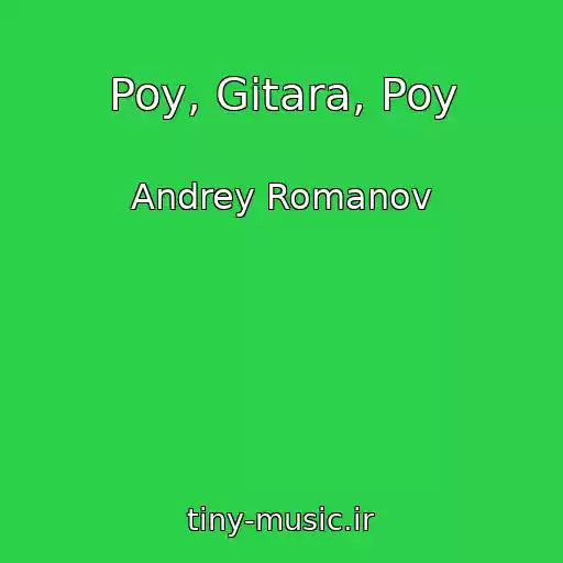 کاور آهنگ Poy, Gitara, Poy از Andrey Romanov