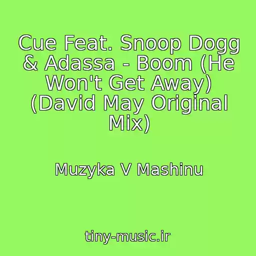 کاور آهنگ Cue Feat. Snoop Dogg & Adassa - Boom (He Won't Get Away) (David May Original Mix) از Muzyka V Mashinu