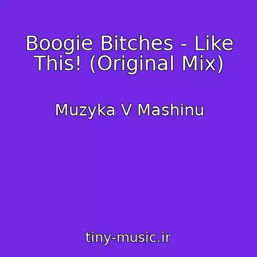 کاور آهنگ Boogie Bitches - Like This! (Original Mix) از Muzyka V Mashinu