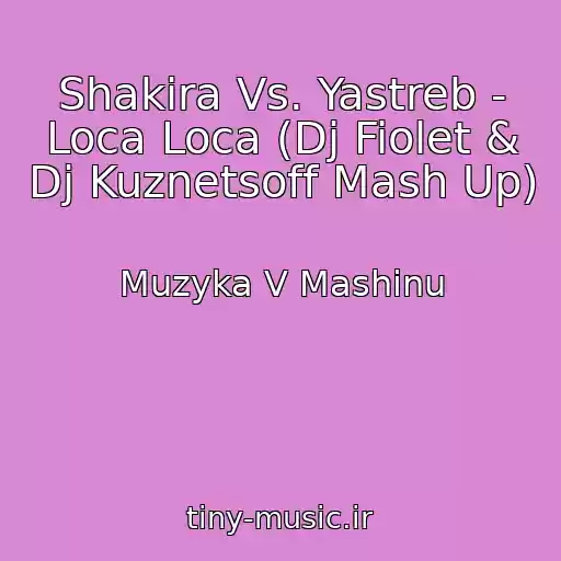 کاور آهنگ Shakira Vs. Yastreb - Loca Loca (Dj Fiolet & Dj Kuznetsoff Mash Up) از Muzyka V Mashinu
