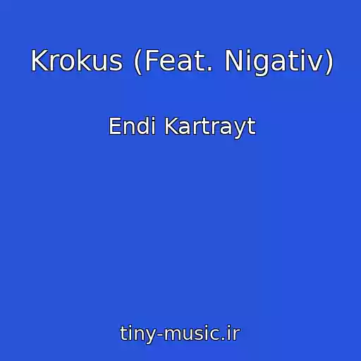 کاور آهنگ Krokus (Feat. Nigativ) از Endi Kartrayt
