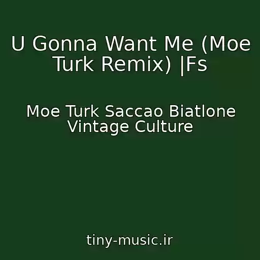 کاور آهنگ U Gonna Want Me (Moe Turk Remix) |Fs از Moe Turk Saccao Biatlone Vintage Culture