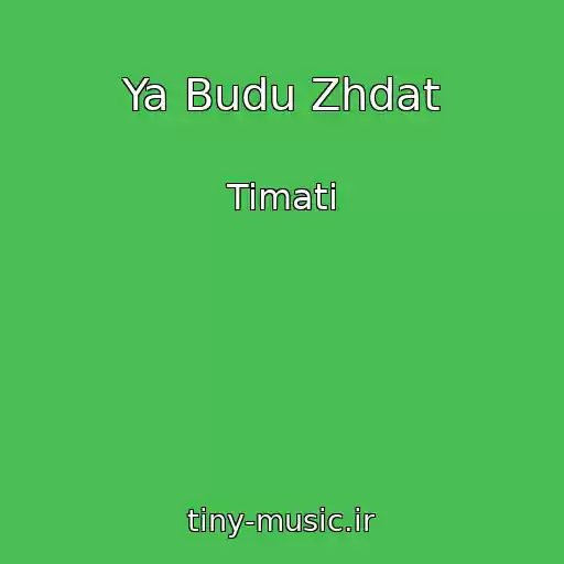 کاور آهنگ Ya Budu Zhdat از Timati