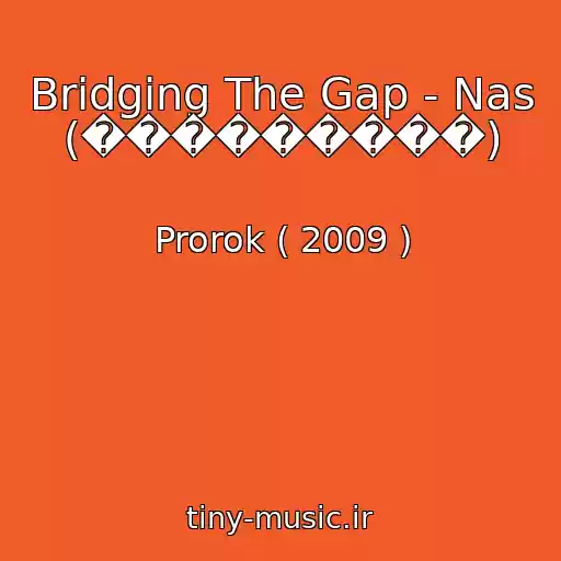 کاور آهنگ Bridging The Gap - Nas (���������) از Prorok ( 2009 )
