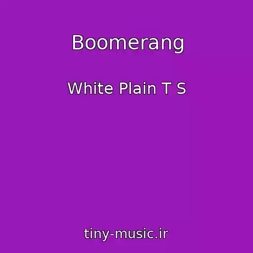 کاور آهنگ Boomerang از White Plain T S