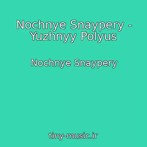 کاور آهنگ Nochnye Snaypery - Yuzhnyy Polyus از Nochnye Snaypery