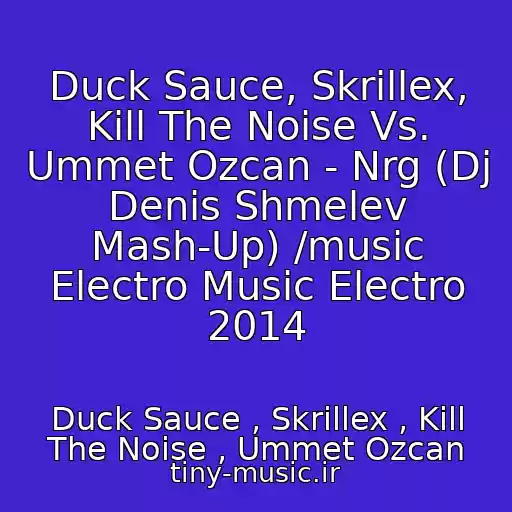 کاور آهنگ Duck Sauce, Skrillex, Kill The Noise Vs. Ummet Ozcan - Nrg (Dj Denis Shmelev Mash-Up) /music Electro Music Electro 2014 از Duck Sauce , Skrillex , Kill The Noise , Ummet Ozcan