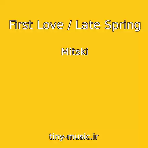 کاور آهنگ First Love / Late Spring از Mitski