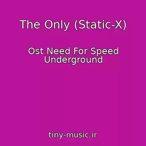کاور آهنگ The Only (Static-X) از Ost Need For Speed Underground