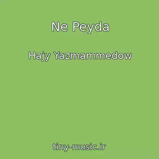 کاور آهنگ Ne Peyda از Hajy Yazmammedow