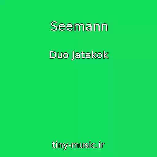 کاور آهنگ Seemann از Duo Jatekok