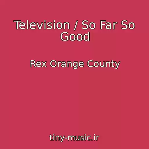 کاور آهنگ Television / So Far So Good از Rex Orange County
