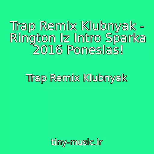 کاور آهنگ Trap Remix Klubnyak - Rington Iz Intro Sparka 2016 Poneslas! از Trap Remix Klubnyak