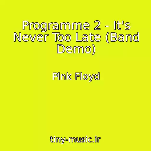 کاور آهنگ Programme 2 - It's Never Too Late (Band Demo) از Pink Floyd