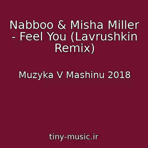 کاور آهنگ Nabboo & Misha Miller - Feel You (Lavrushkin Remix) از Muzyka V Mashinu 2018