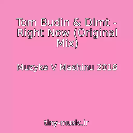 کاور آهنگ Tom Budin & Dlmt - Right Now (Original Mix) از Muzyka V Mashinu 2018