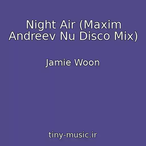 کاور آهنگ Night Air (Maxim Andreev Nu Disco Mix) از Jamie Woon