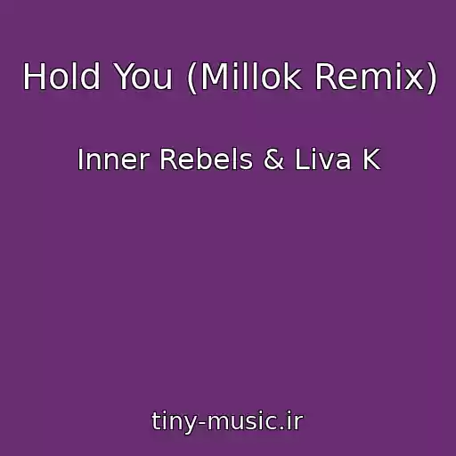 کاور آهنگ Hold You (Millok Remix) از Inner Rebels & Liva K