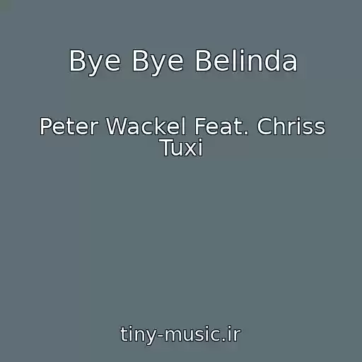کاور آهنگ Bye Bye Belinda از Peter Wackel Feat. Chriss Tuxi