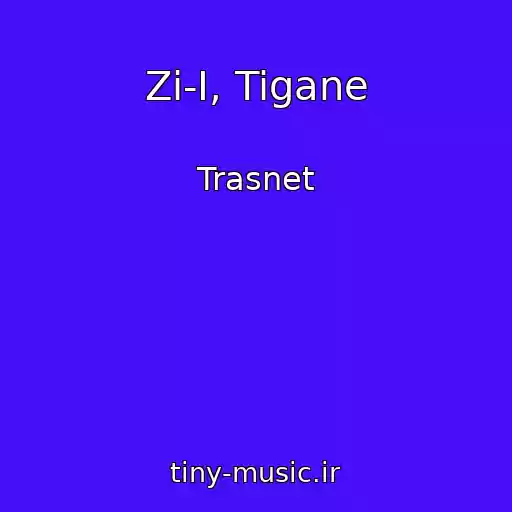 کاور آهنگ Zi-I, Tigane از Trasnet