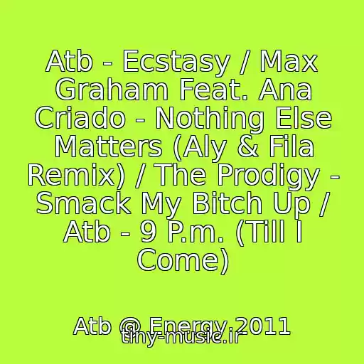 کاور آهنگ Atb - Ecstasy / Max Graham Feat. Ana Criado - Nothing Else Matters (Aly & Fila Remix) / The Prodigy - Smack My Bitch Up / Atb - 9 P.m. (Till I Come) از Atb @ Energy 2011