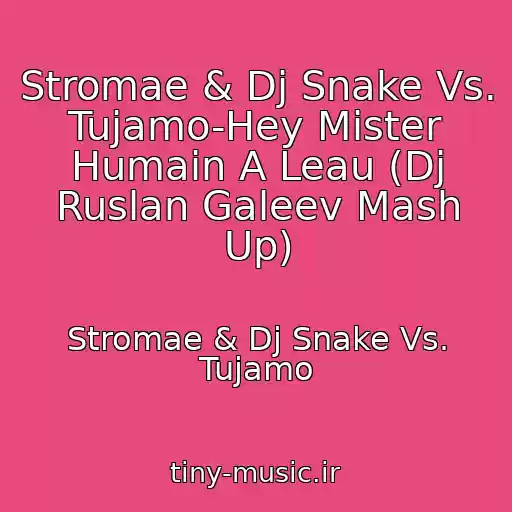 کاور آهنگ Stromae & Dj Snake Vs. Tujamo-Hey Mister Humain A Leau (Dj Ruslan Galeev Mash Up) از Stromae & Dj Snake Vs. Tujamo