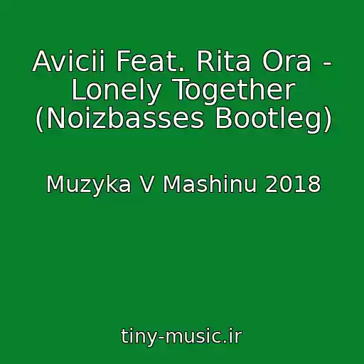 کاور آهنگ Avicii Feat. Rita Ora - Lonely Together (Noizbasses Bootleg) از Muzyka V Mashinu 2018