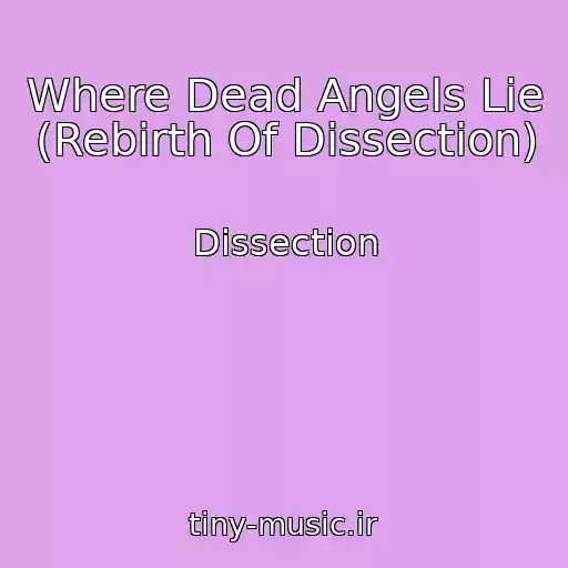 کاور آهنگ Where Dead Angels Lie (Rebirth Of Dissection) از Dissection